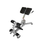 Aparat Hiperextensie Abdomen/Spate, Otel, Dhs K004