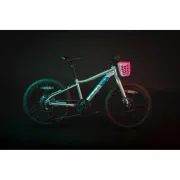 Cos Fata Bicicleta Force pentru copii, Roz