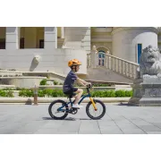 Bicicleta Copii Royal Baby Kable-EZ 16 Golden