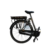 Bicicleta Electrica Stella Livorno Dama FDST RTE 2.0 - 28 Inch, XL, Gri