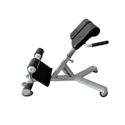 Aparat Hiperextensie Abdomen/Spate, Otel, Dhs K004
