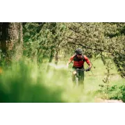 Merida Big.Nine 700 - bicicleta MTB hardtail XC 29" - verde Ever Green