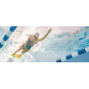 Finis Edge labe