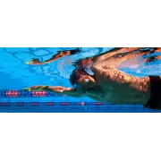 Finis Fulcrum Antebrat juniori