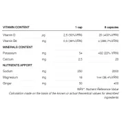226ers - capsule sare - salts electrolytes duplo sub9 - 2gr