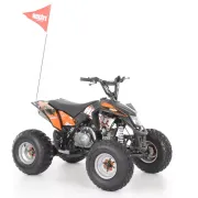 HECHT 54125 BLACK - ATV pe benzină