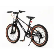 Bicicleta Royal Baby Student Edge 20 Black