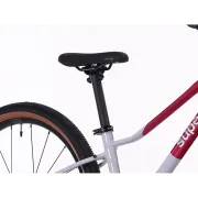 Bicicleta Superior F.L.Y. 24 24 Gloss Purple