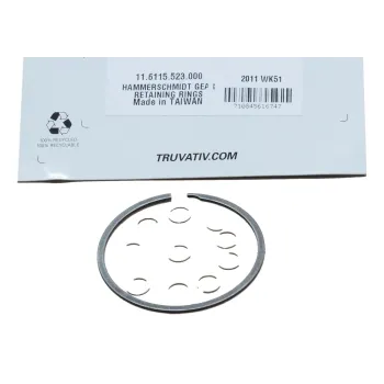 HammerSchmidt Planet Gear Retaining Rings - Silver