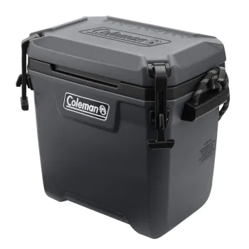 Lada frigorifica pasiva Coleman Convoy 29l gri 47 x 43 x 30 cm - 2193723