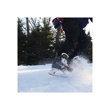 Patine