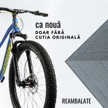 Biciclete Electrice