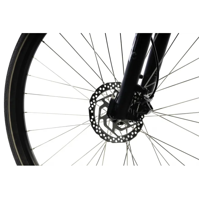Bicicleta Electrica Devron 28162 - 28 Inch, L, Gri