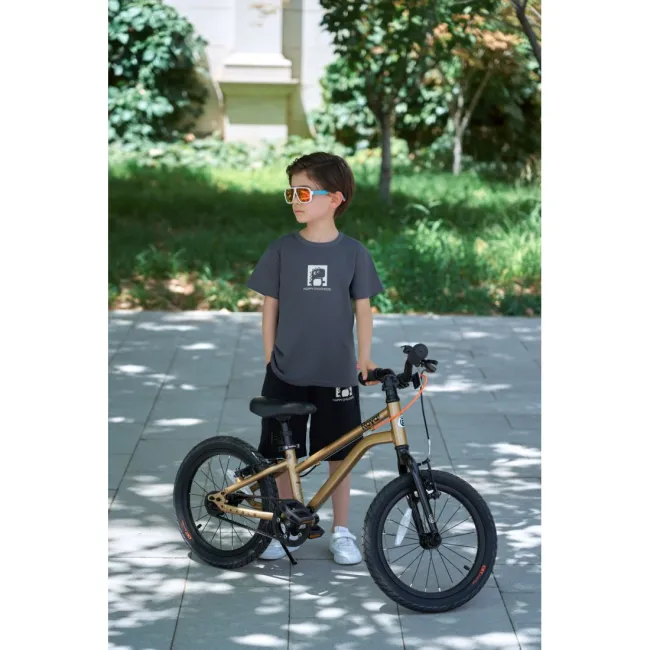 Bicicleta Copii Royal Baby Kable-Belt 16 Golden