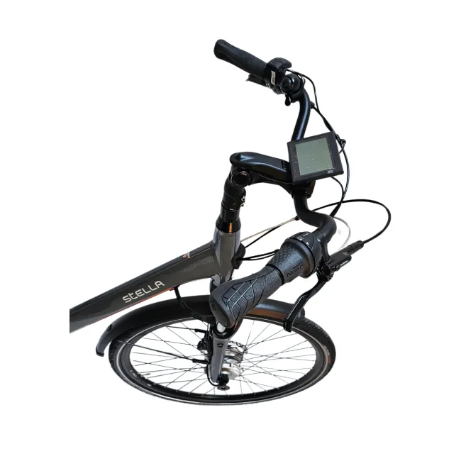 Bicicleta Electrica Stella Livorno Dama FDST RTE 2.0 - 28 Inch, XL, Gri