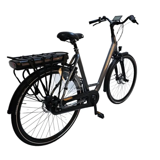 Bicicleta Electrica Stella Livorno Dama FDST RTE 2.0 - 28 Inch, XL, Gri