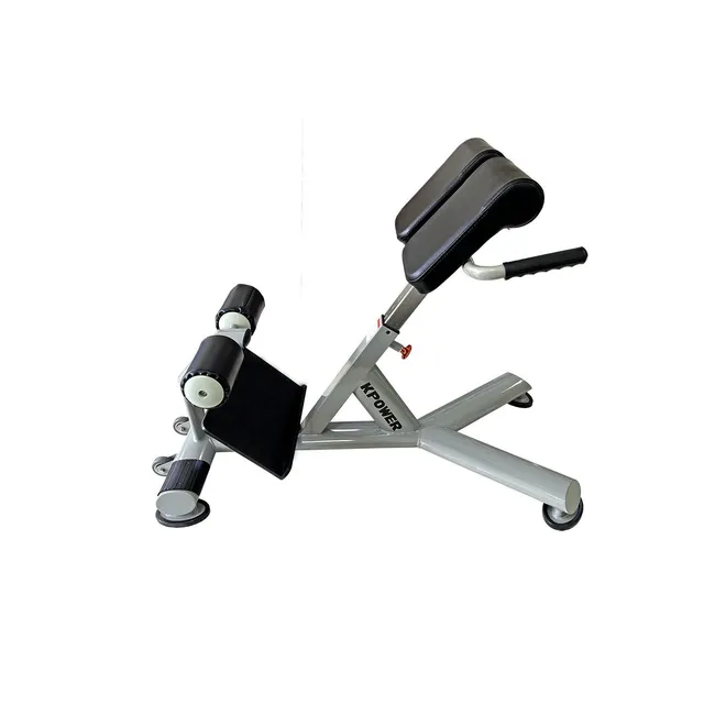 Aparat Hiperextensie Abdomen/Spate, Otel, Dhs K004