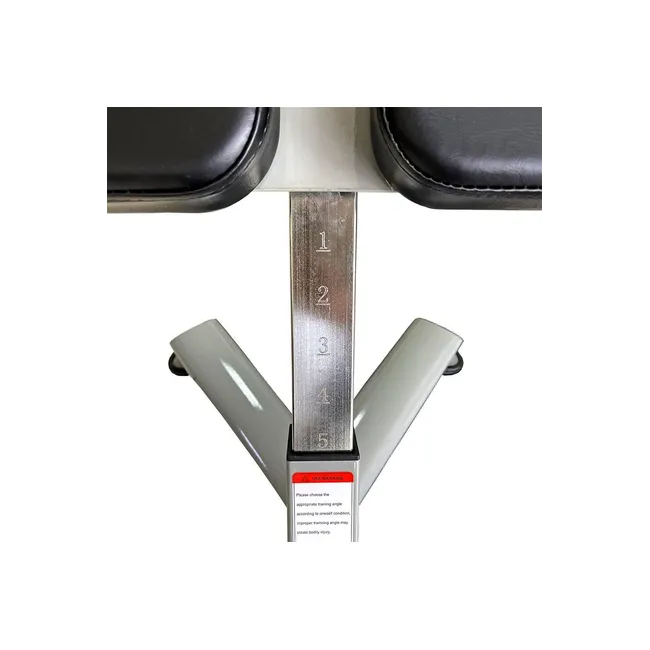 Aparat Hiperextensie Abdomen/Spate, Otel, Dhs K004