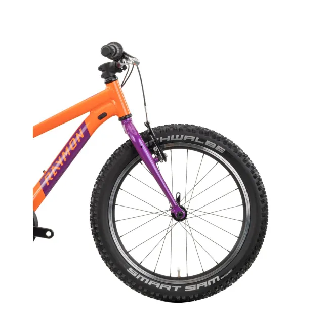 Bicicleta Copii Raymon Yanga 20 2025 - 20 Inch, Portocaliu - TY200