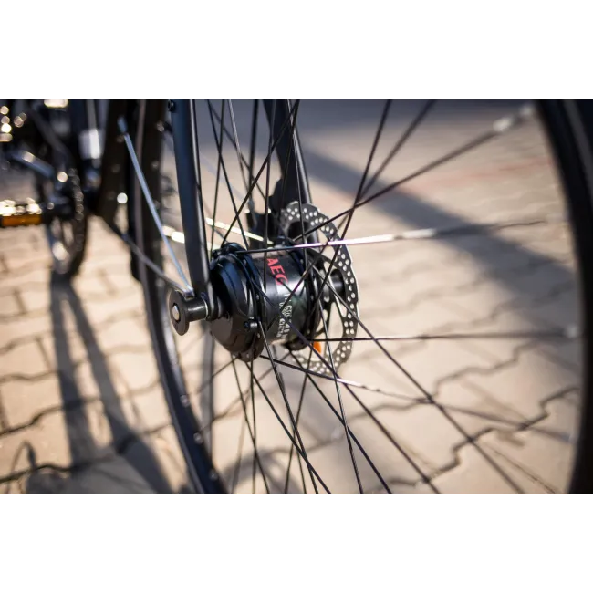 Bicicleta electrica Prophete 52581 - 28 inch, L, Negru
