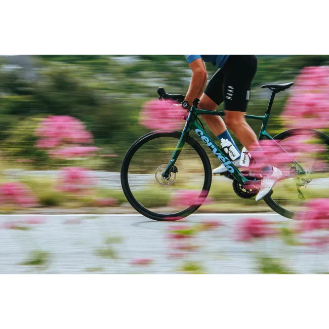 Cervelo Caledonia - bicicleta sosea carbon Ultegra Di2 - oasis