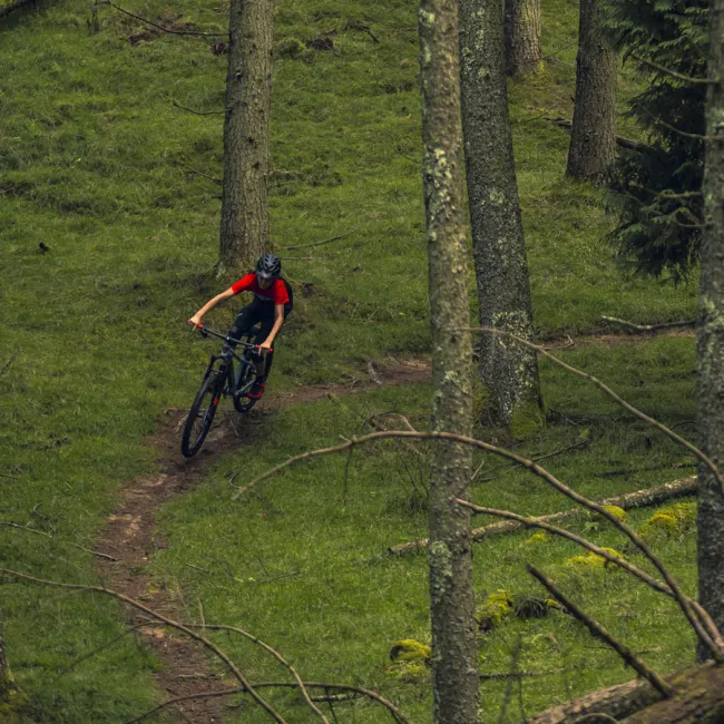 Orbea LAUFEY 20 H30 Black Rainbow - măsura 20 - bicicletă copii MTB Trail