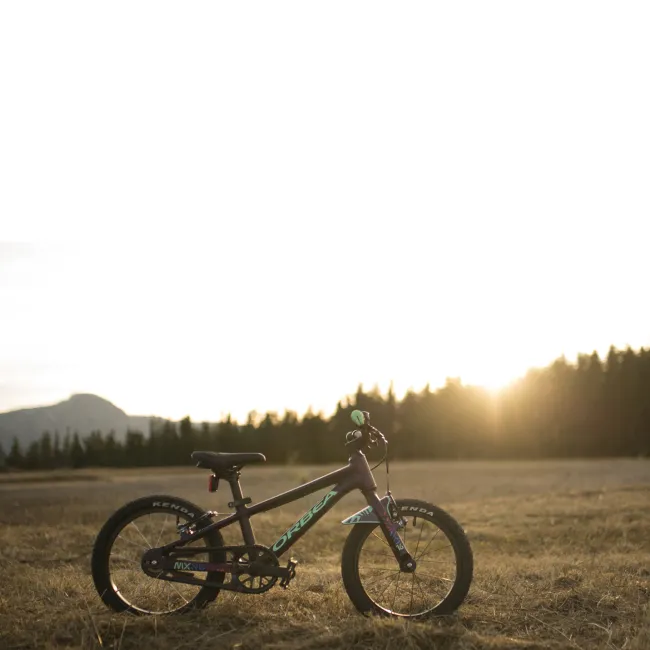 Bicicletă copii Orbea MX 24 TEAM DISC - Moondust Blue | Red (Matt
