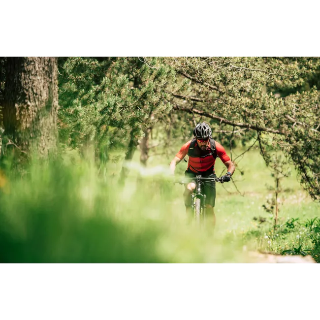 Merida Big.Nine 700 - bicicleta MTB hardtail XC 29" - verde Ever Green