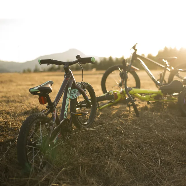 Orbea - bicicleta copii MX 24 Park - galben fluo-rosu