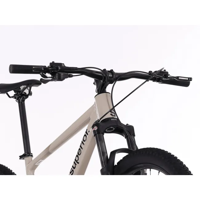 Bicicleta Superior XC 6.9 29 Gloss Dust 20 - (L)