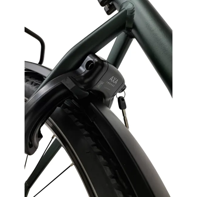 Bicicleta electrica Trekking  Stella Tierra - 29 inch, 10V, L, Verde
